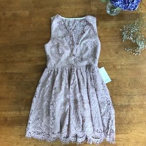 LAUREN BLUSH SKATER DRESS